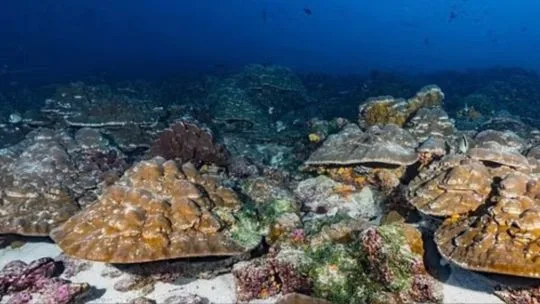 El fenómeno de El Niño es un 40% más fuerte y se encamina a romper el récord histórico