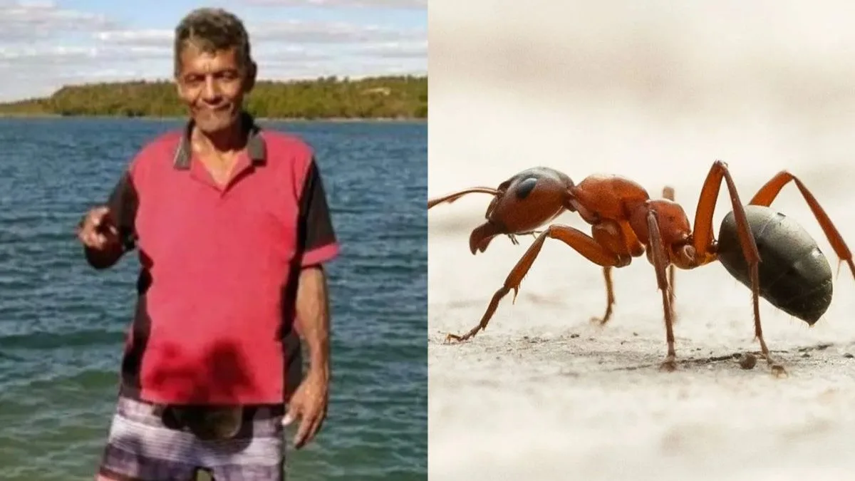 Homem viaja para pescar com irmão, é picado por formiga e morre aos 68 anos