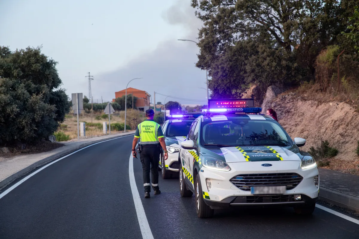 Drones, helicópteros y patrullas por el supuesto avistamiento de un león en Toledo