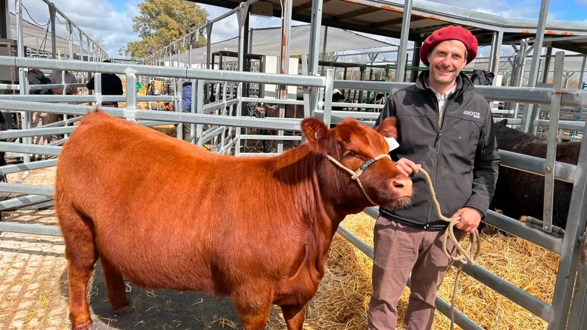 “Es fabuloso”: el buen momento para el negocio de las vacas destapó una ola de inversiones