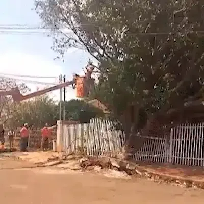 Após 10 dias, bombeiros retiram árvore que caiu sobre casa durante tempestade
