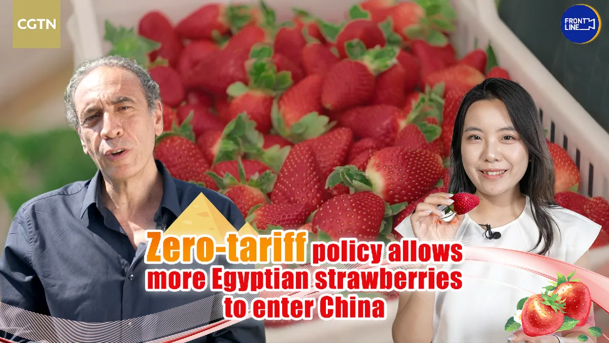 Zero-tariff policy allows more Egyptian strawberries to enter China