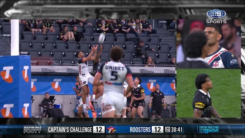 Panthers challenge unsuccessful