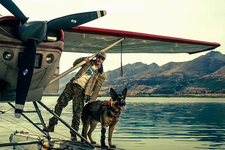 Brad Pitt y los perros de «El corazón de la bestia»