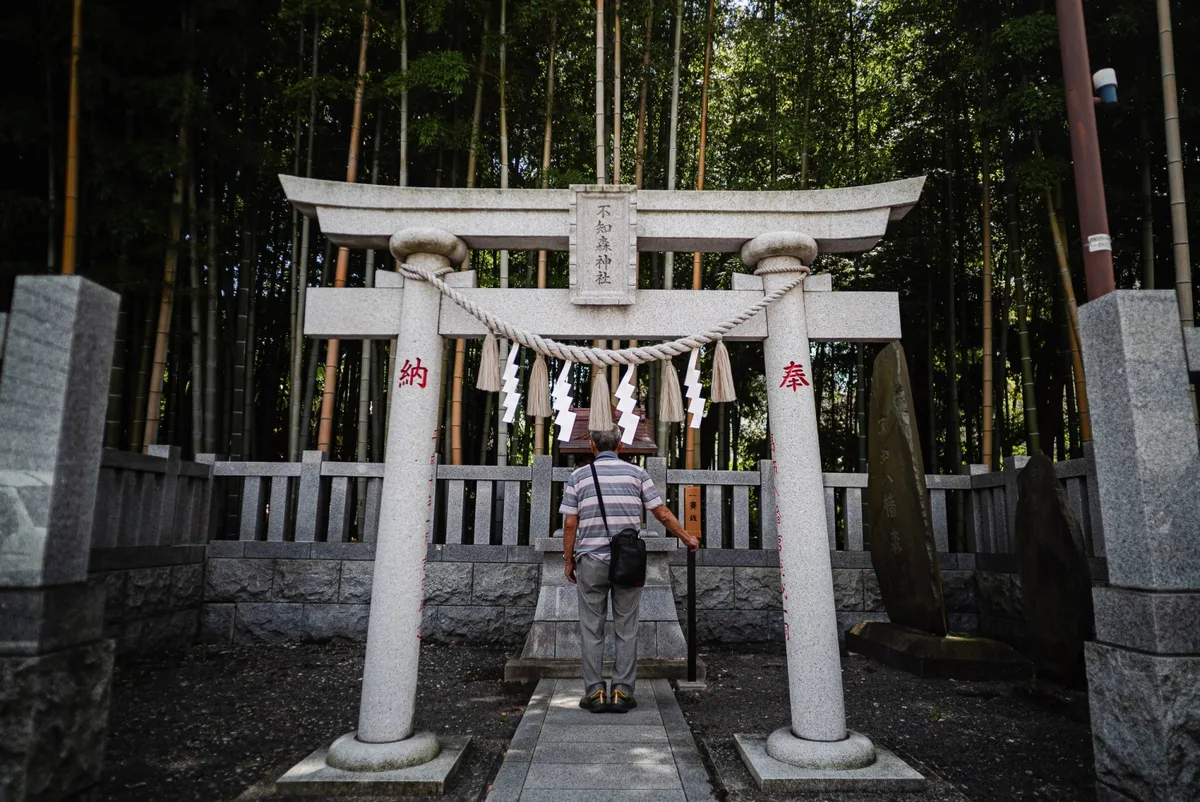 In a Tokyo suburb, a bamboo grove no one dares to enter