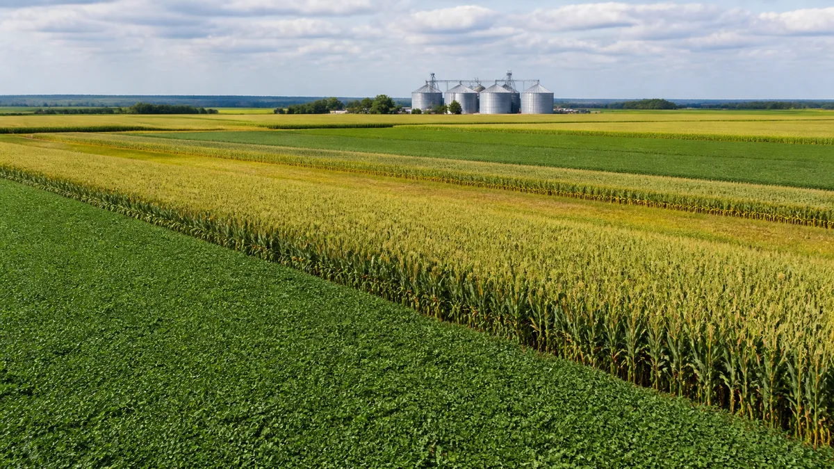 USDA aponta leve piora nas condições de milho e soja nos Estados Unidos