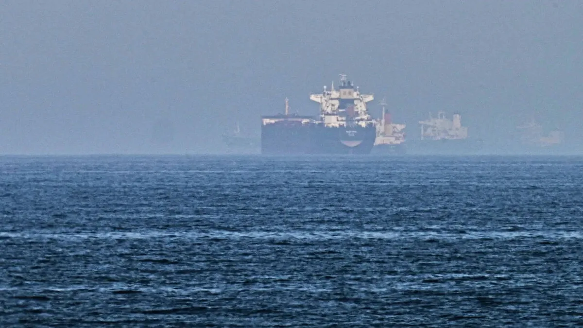 Panama-flagged cargo ship carrying 24 on board sinks off Odisha coast