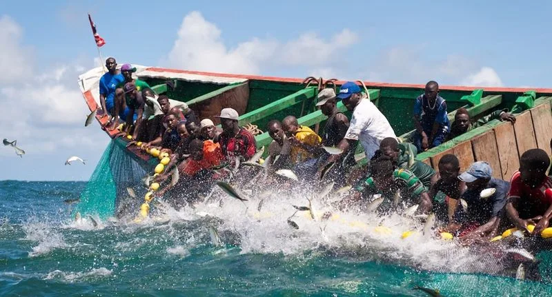OUTLAW OCEAN PROJECT: The price paid beyond the plate — the huge costs of farmed seafood