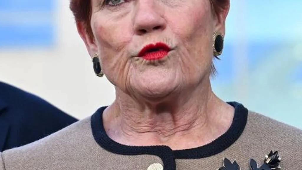 New Resolve poll shows One Nation support slipping as voters blame Labor for cost-of-living pressure