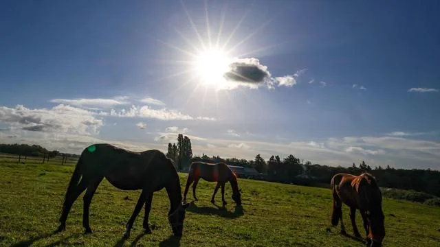 Wetteraussichten: Heiteres Herbstwetter in Nordrhein-Westfalen