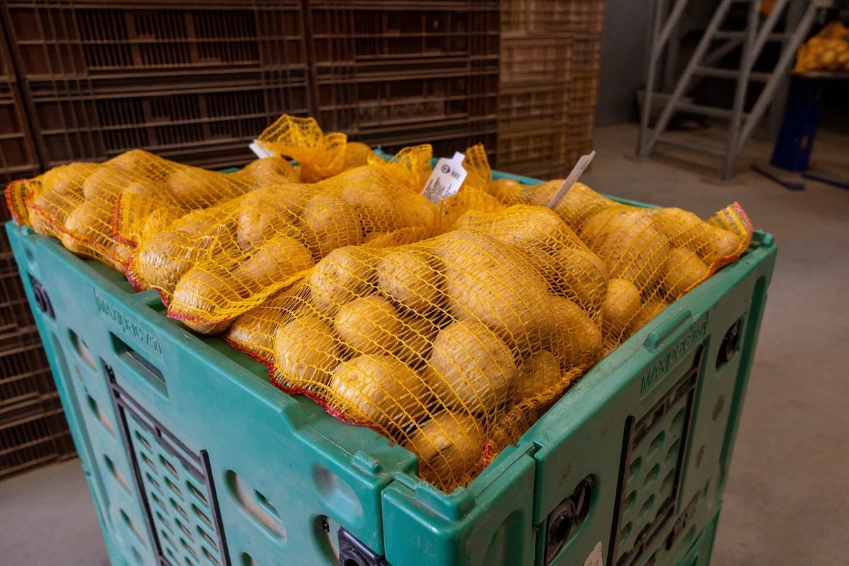 Frites, œufs, légumes… Va-t-on manquer de ces aliments cette année ?