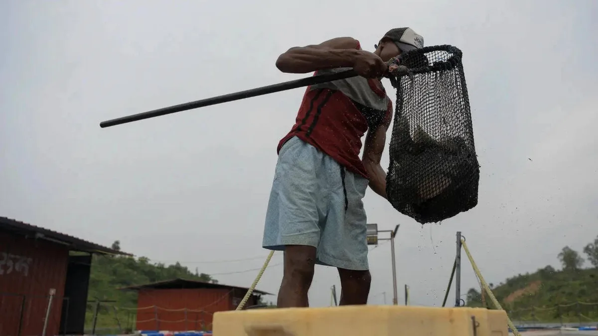 India to come out with a national plan to boost small-scale fisheries sector