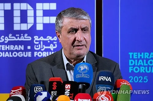 이란 원자력청장 IAEA 총회 참석 못해…"美 압박 탓"(종합)