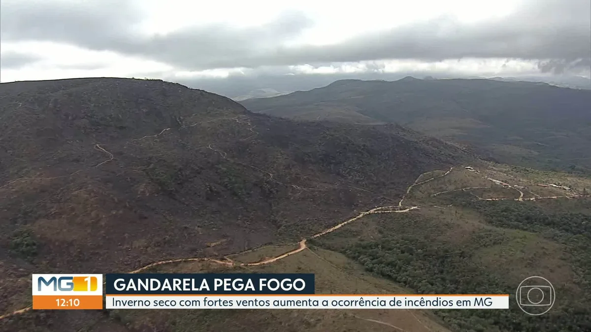 VÍDEOS: MG1 de terça-feira, 11 de agosto de 2026