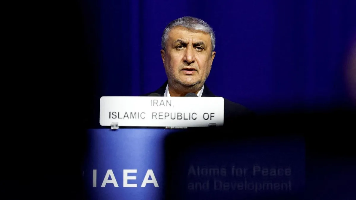 IAEA-Konferenz: Irans Atomchef erhält kein Visum für IAEA-Konferenz in Wien