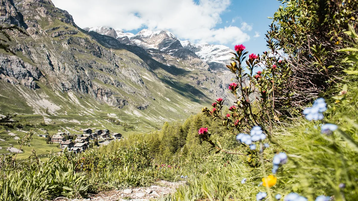 Randonner à Val d'Isère : des promenades familiales aux itinéraires de haute montagne