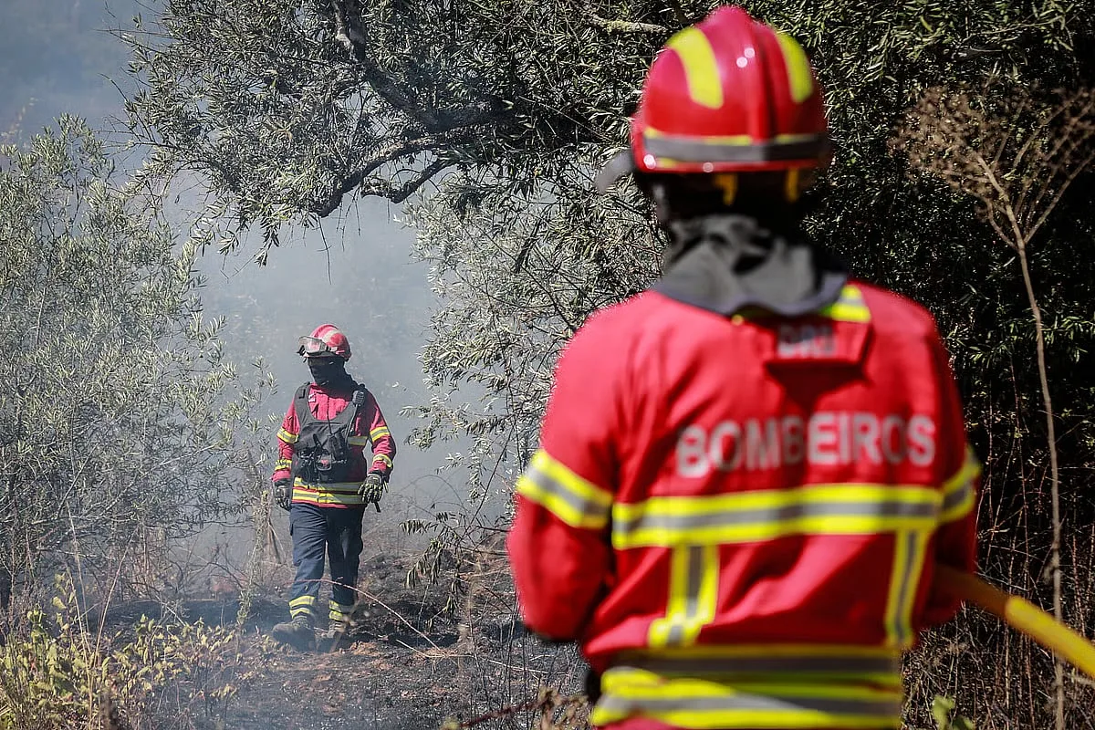 Máximas até 32º C e vento forte. Mais de 30 concelhos de seis distritos em perigo máximo de incêndio