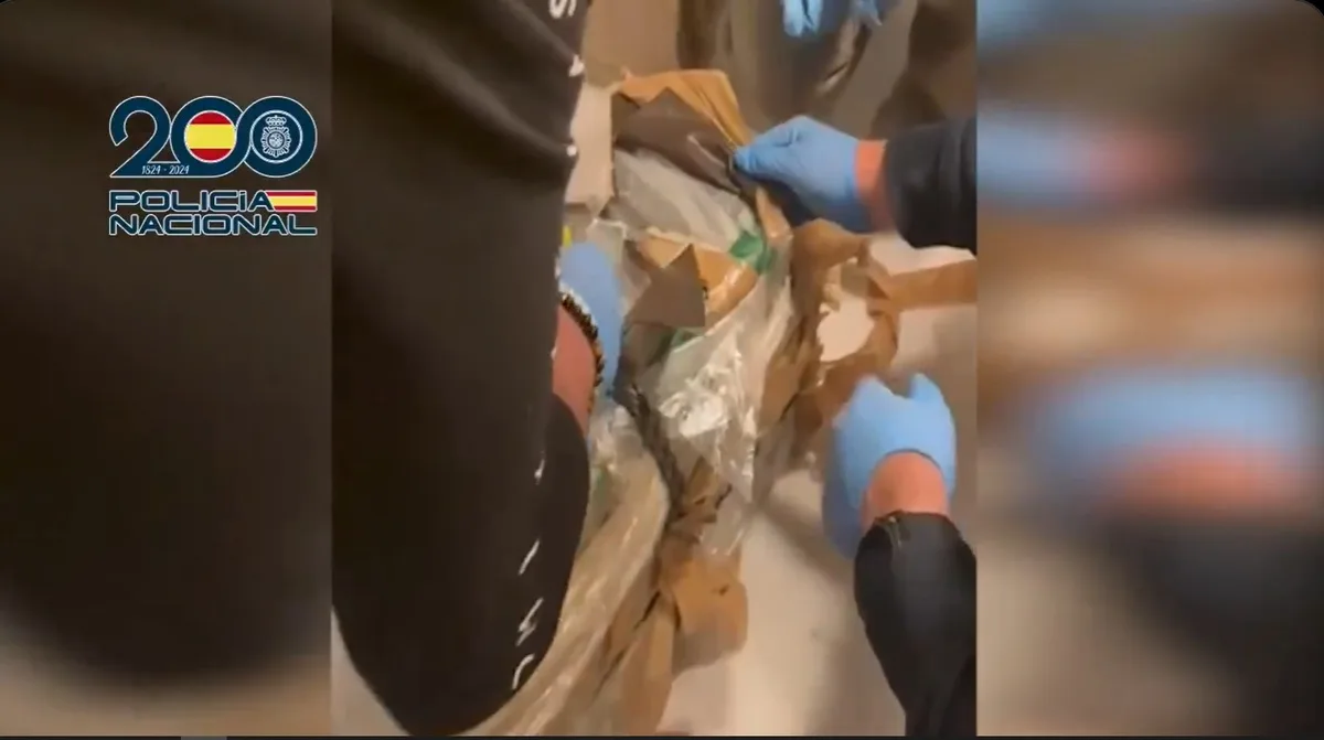 Cayó una banda albanesa que trasladó 2.700 kilos de cocaína de Colombia por España (VIDEO)