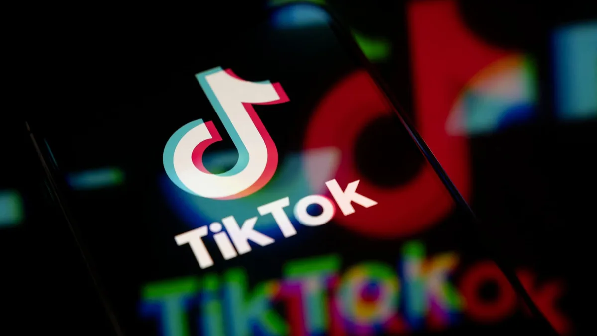 "Calife Carotte": inoffensives au premier abord, les vidéos de fruits et légumes générées par IA sur Tiktok contribuent à banaliser la violence et la cruauté, avec des risques de radicalisation