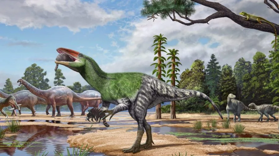 New dinosaur species identified from fossil tucked away in a museum