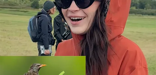 Ikkimel veranstaltet Birding Date mit Nabu