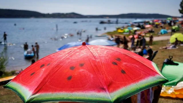 Badegewässer im Fokus: Badeverbote in mittelfränkischem See wegen Blaualgen