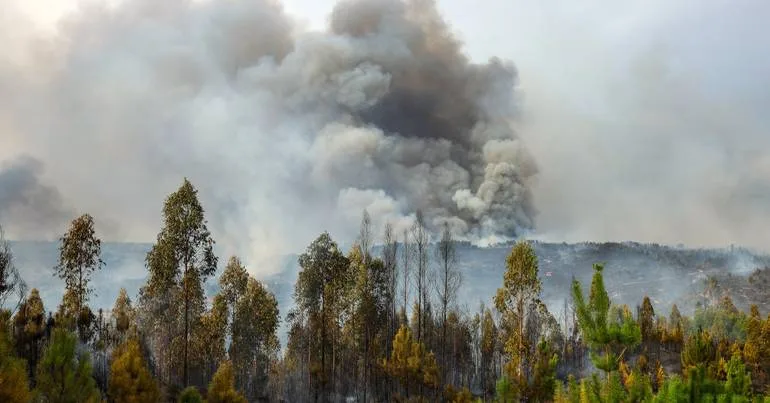 Detido em Fátima suspeito de dois incêndios florestais