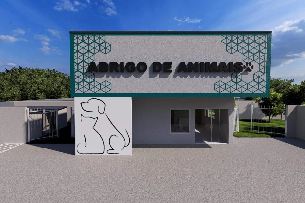 Prefeitura autoriza criação de 1º abrigo municipal para animais de MS