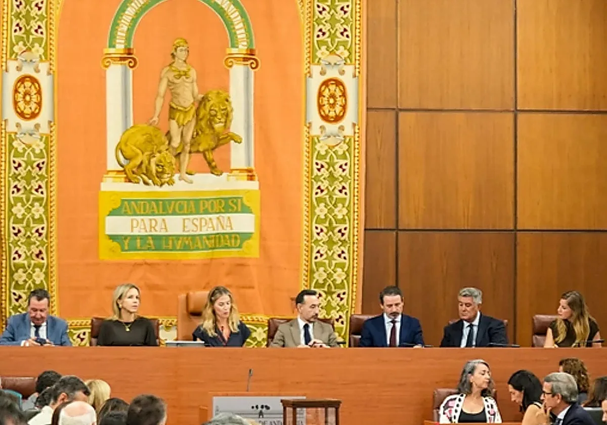 Adelante Andalucía quiere aplazar el traslado del salón de plenos del Parlamento hasta que le cambien de escaño