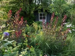 Mon jardin, les corvées en moins