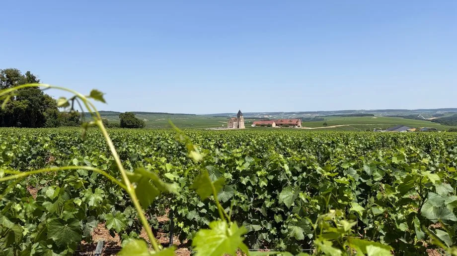 Vos vacances ICI dans l'Yonne