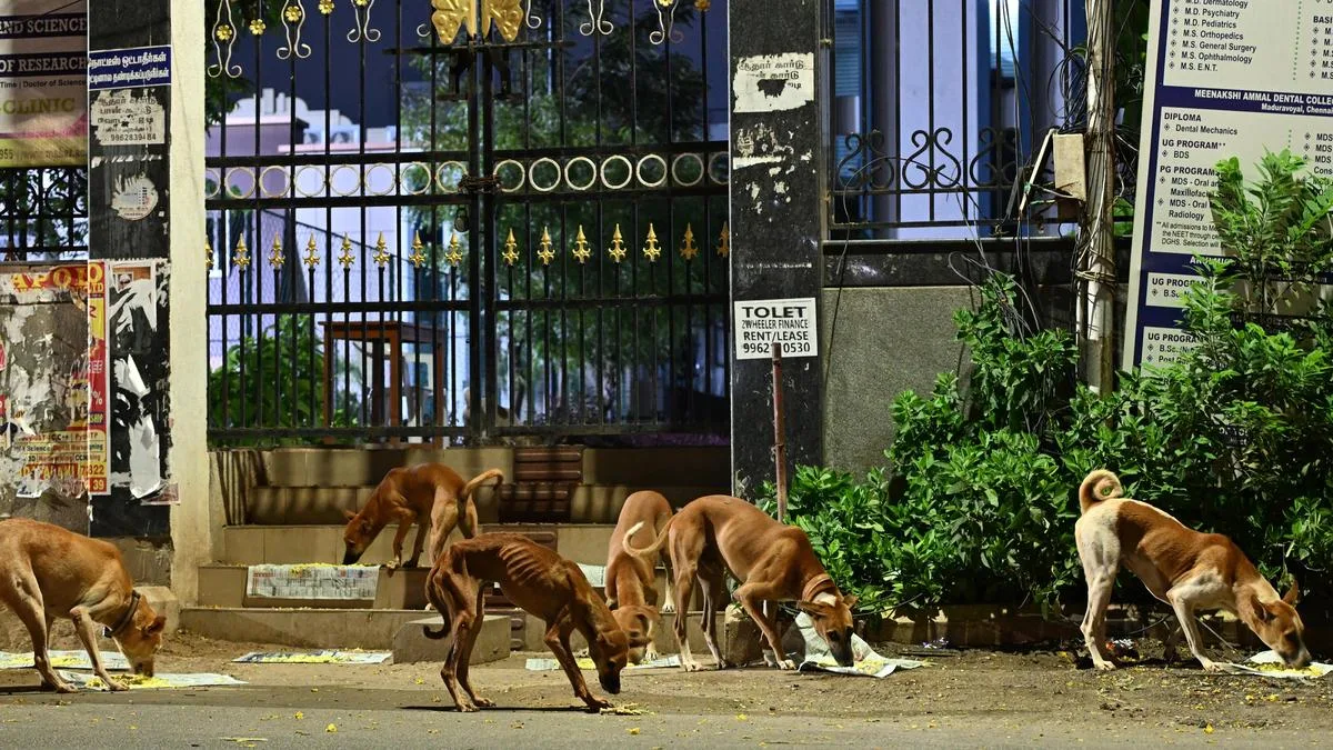 Tamil Nadu government unveils ₹107-crore project for rabies control