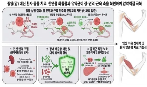 암 환자 생명 위협하는 '악액질'…장내 미생물로 잡는다