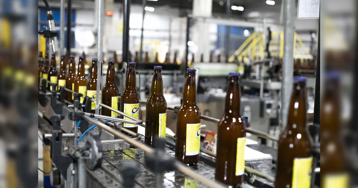 Indústria de alimentos e bebidas do Paraná aposta em tecnologia para produzir mais e melhor