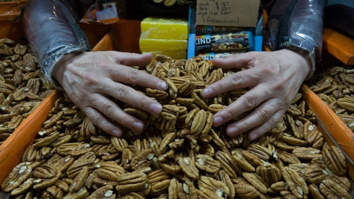 Producción de Nuez en Coahuila creció 8.3% en 2025 a tasa anual