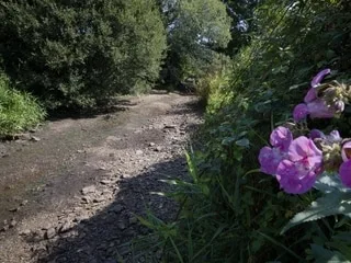 Nouvelle alerte pour la Garonne, l’Ouest en crise : une sécheresse et des débits de cours d’eau inédits en cette rentrée