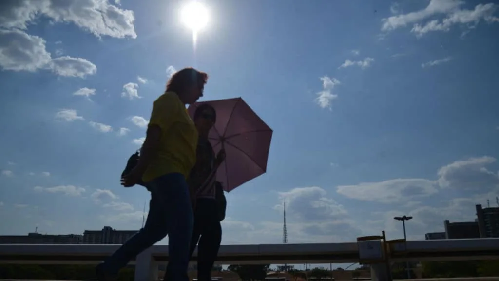 Frente fria avança e traz risco de geada e ventania no fim de semana