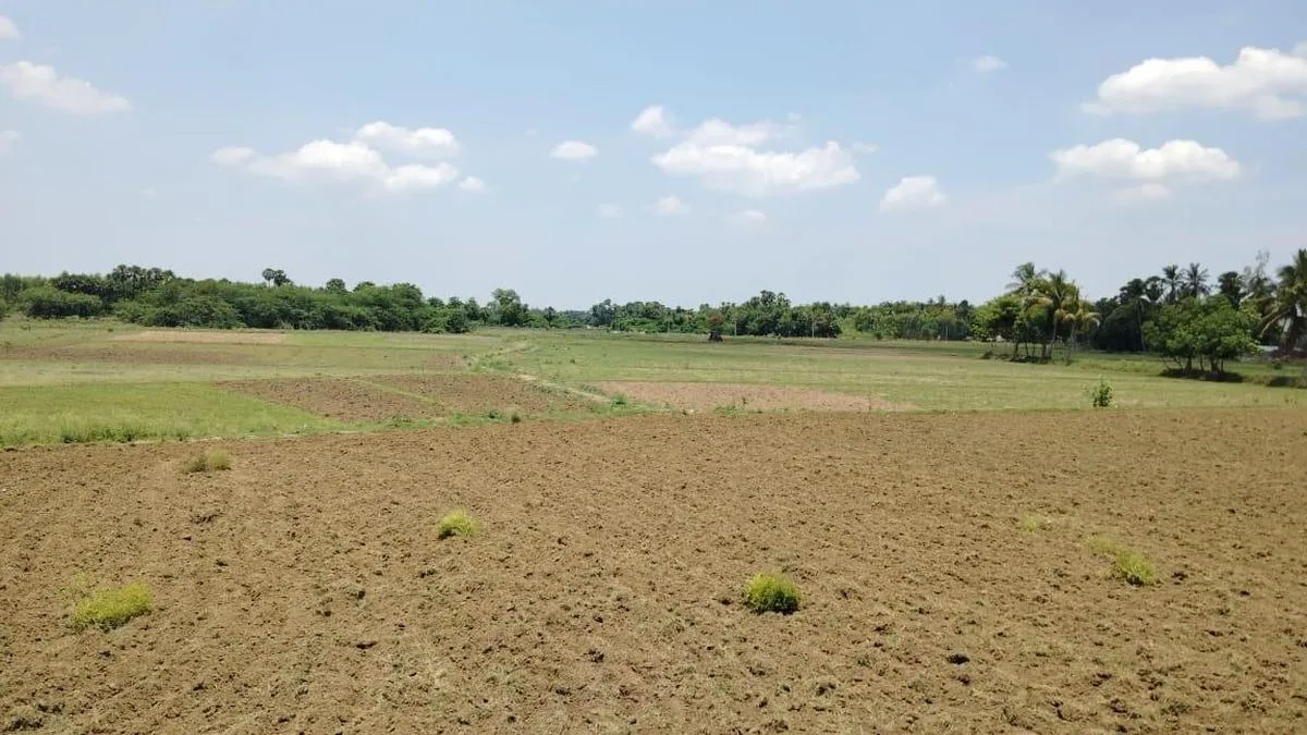Rainfall deficit in Vizianagaram raises fears over Kharif crop yields
