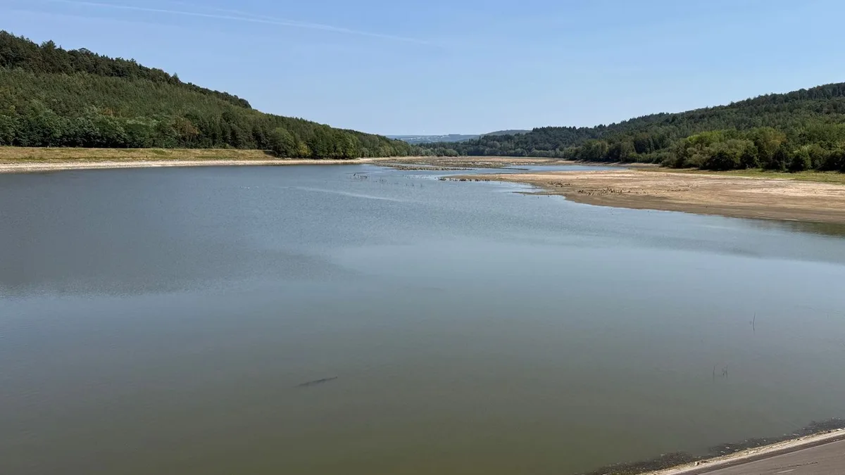 Wasserversorgung: Wasser aus Talsperre für Rhein-Main: Plan nimmt Gestalt an