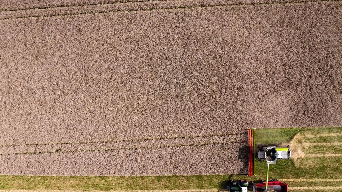 Trockenheit: Bauern beklagen hohe Kosten und schlechte Ernte