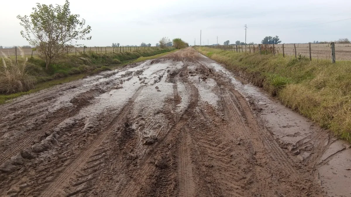 ¿Cómo están los caminos rurales de tu distrito? Contanos tu testimonio