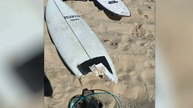 Hero surfer risked life to save shark attack victim