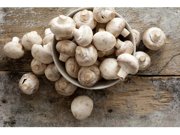 India's mushroom production surges, led by Bihar, but challenges remain