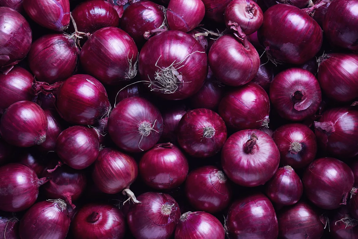 Onion prices up 59%, govt ramps up 'Kanda Express' supplies to cool market