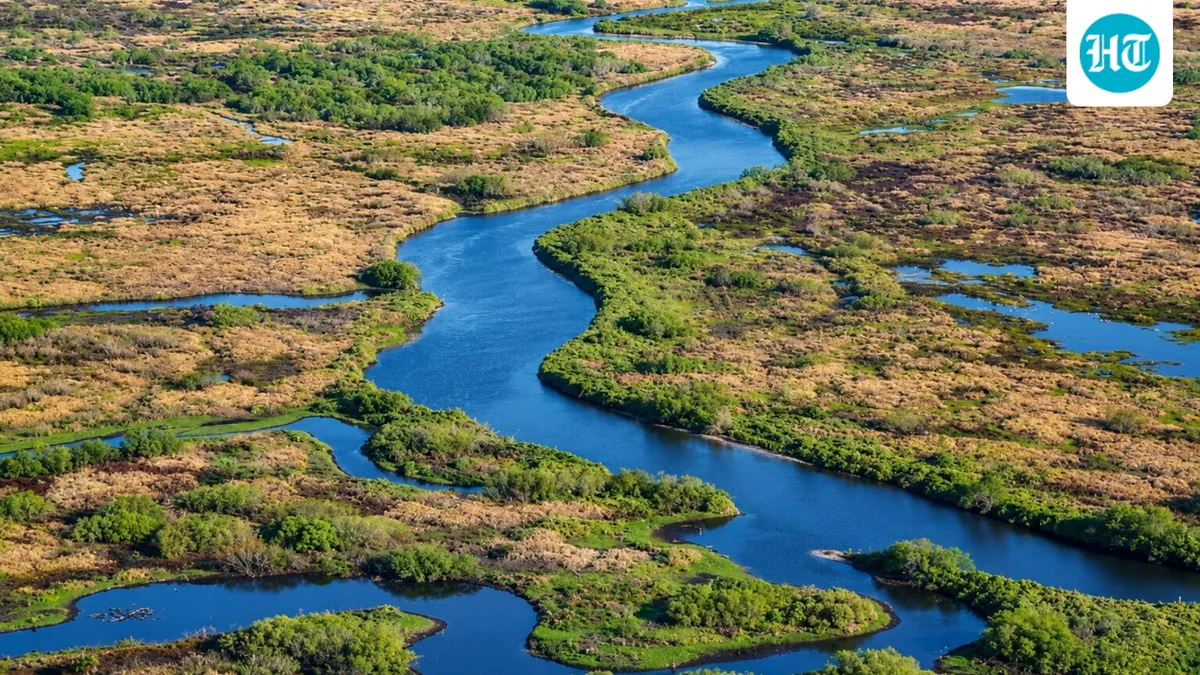 In 1999, Florida began restoring the Kissimmee River, a project that aims to reconnect 44 miles of channel and restore 20,000 acres of wetlands
