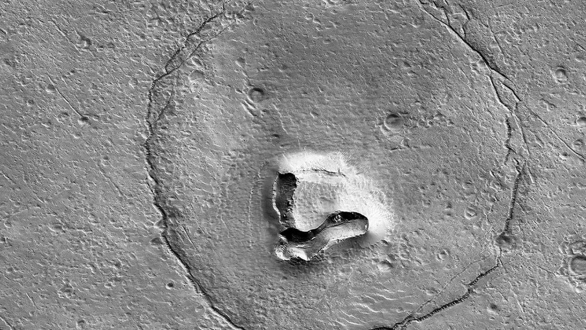 En 2022, la NASA fotografió un oso sobre la superficie de Marte: por fin sabemos cómo se formó