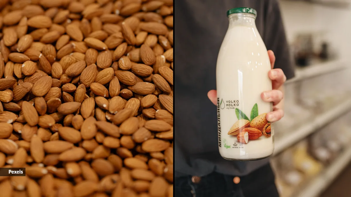 Almond milk or whole almonds: Experts explain which is healthier