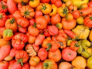 Vous avez du mal à vous concentrer ? La « technique Pomodoro », inventée par un étudiant, pourrait tout changer