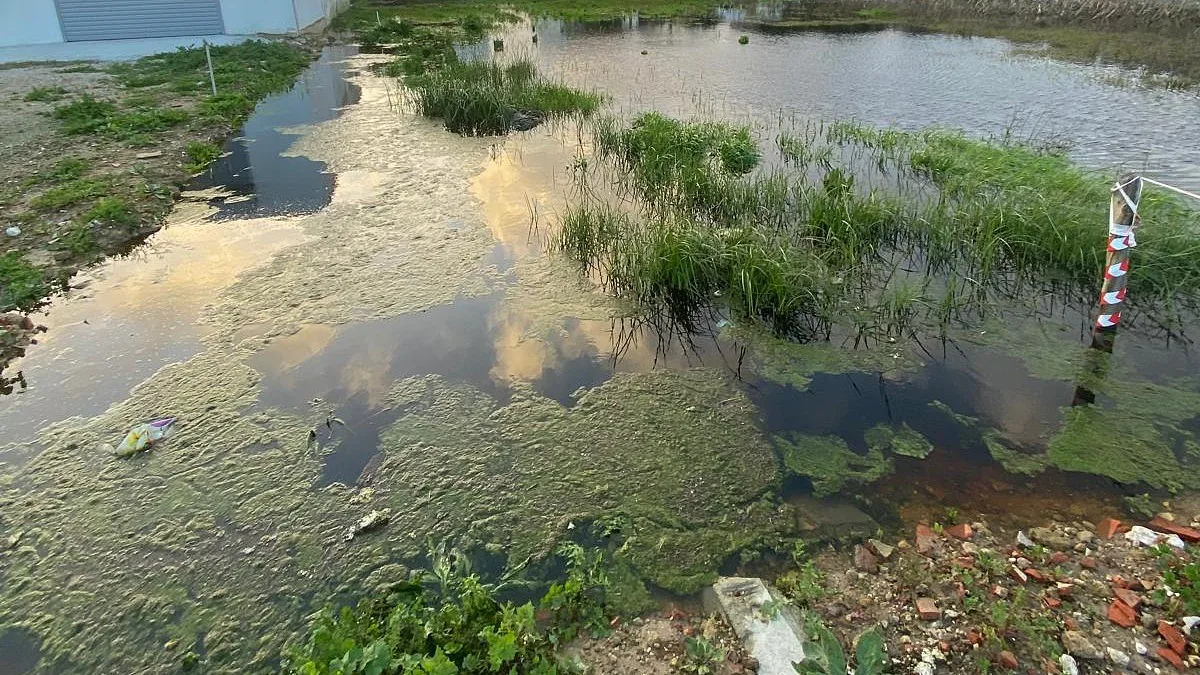 Do sonho ao pesadelo: proprietários de terreno vivem ‘inferno’ na Moita