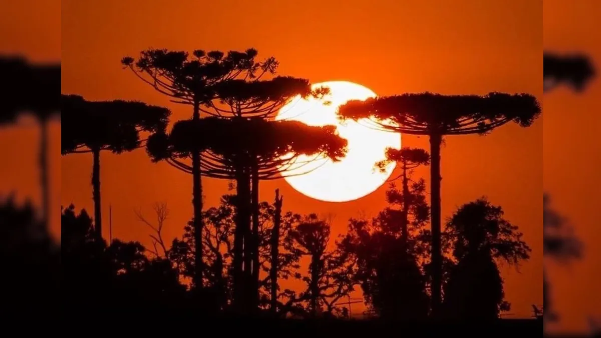 Paraná entra em nova onda de calor; entenda o que significa e veja a previsão do tempo por região